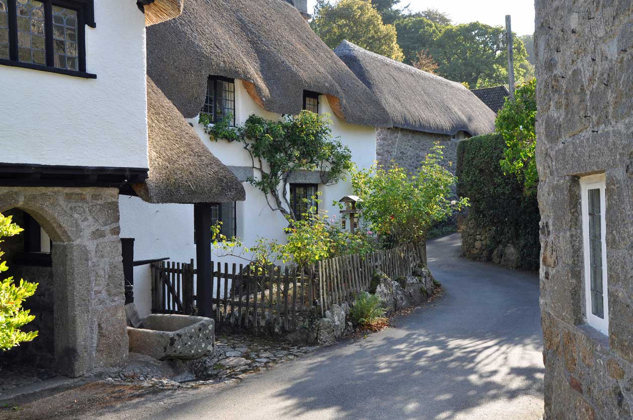 Dog Friendly Self Catering