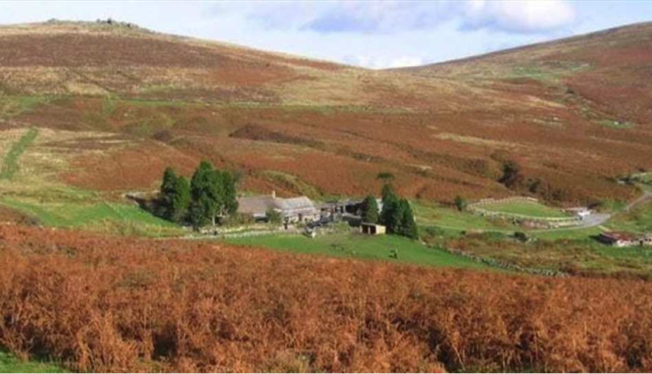 February on Dartmoor. Half Term & Valentines Day VisitDartmoor