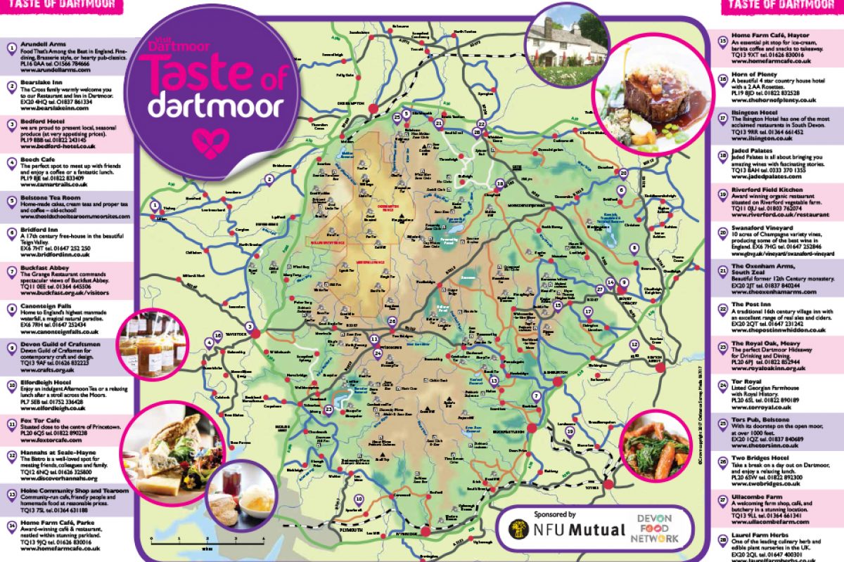 Halfterm Happiness Visit Dartmoor