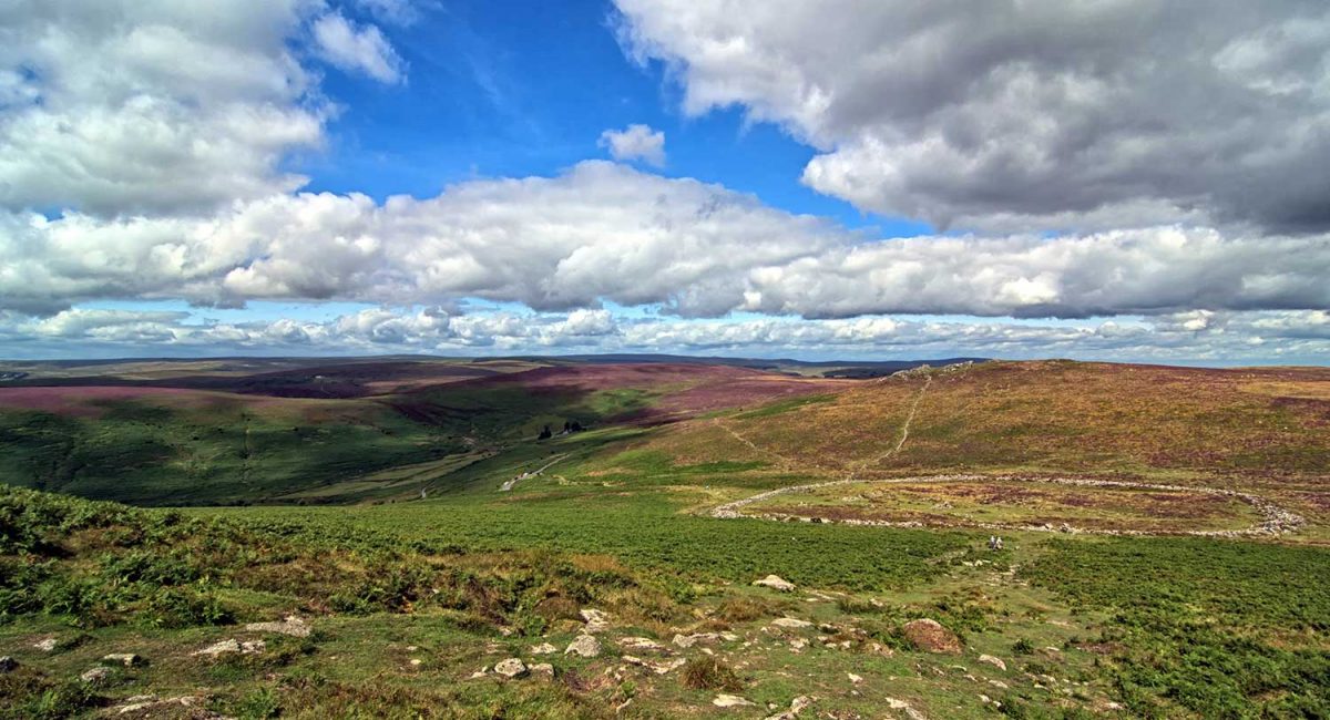 Visit_Dartmoor_Hameldown