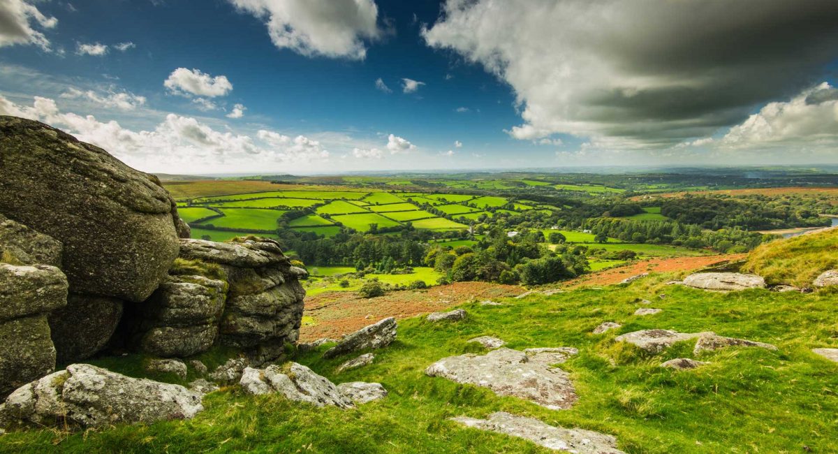 tentors